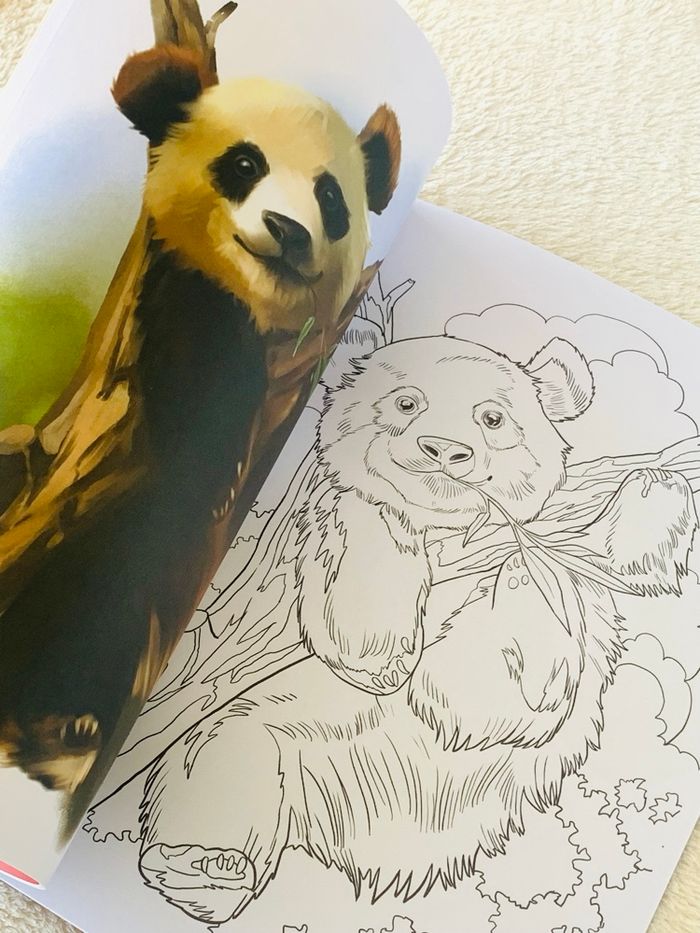 Cahier de coloriage de animaux Craft Universe - photo numéro 3