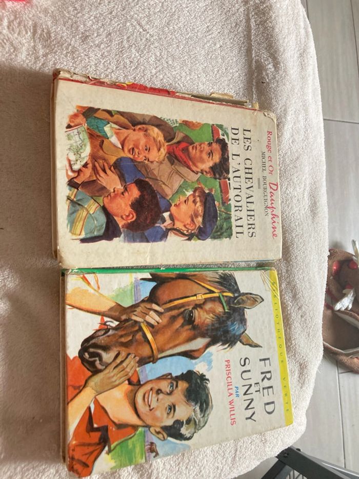 Lot 2 livres - photo numéro 2