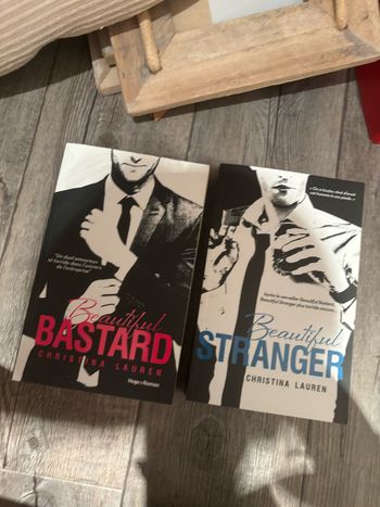 Lot livre beautiful bastard
