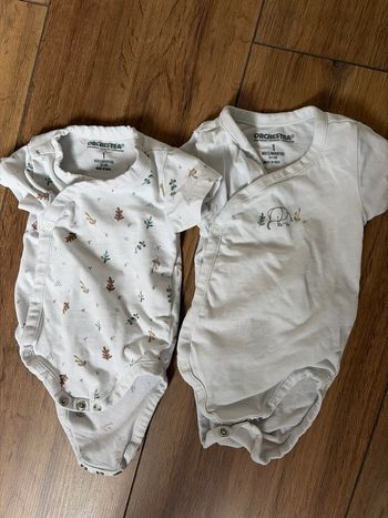 Lot 2 bodys manches courtes