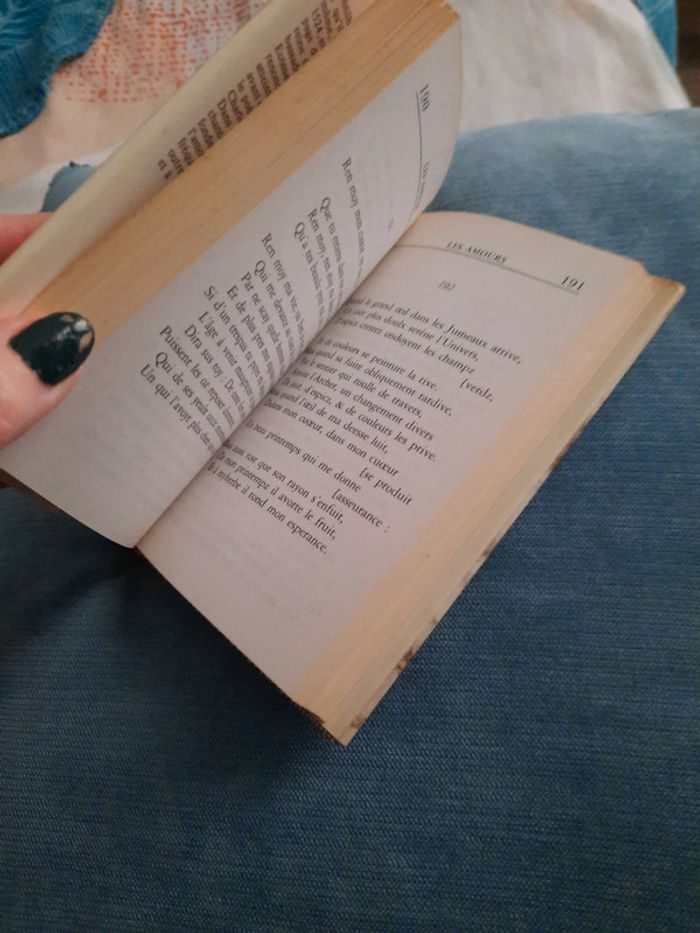 Livre Les amours - photo numéro 2