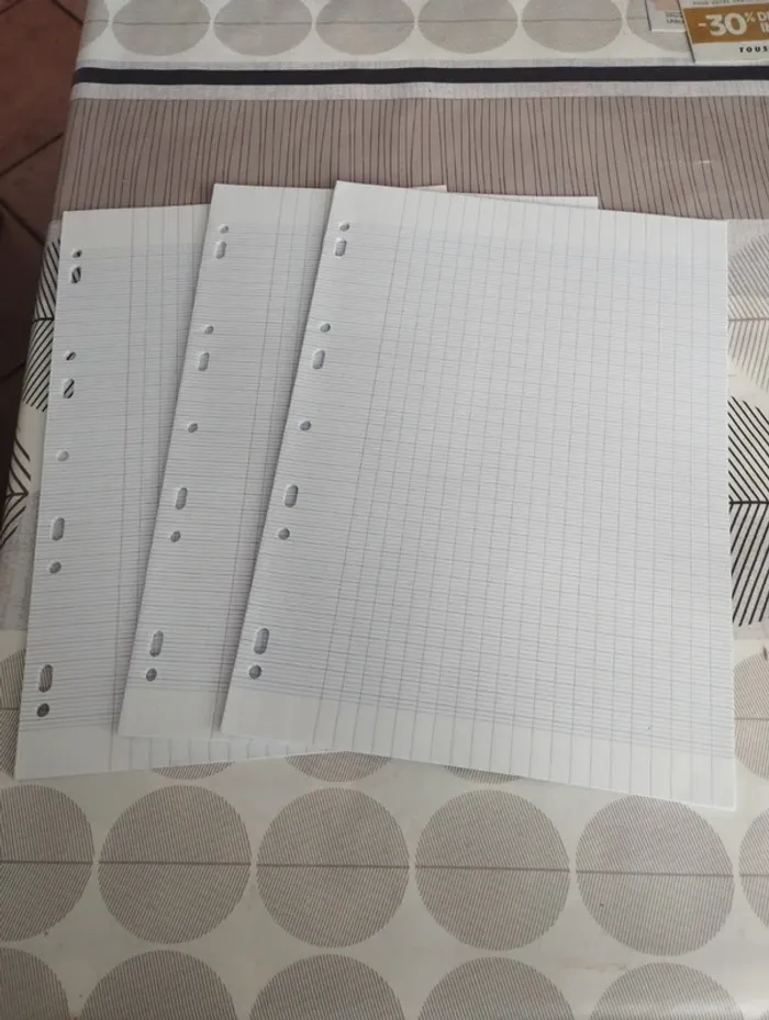 Lot feuilles doubles grands carreaux