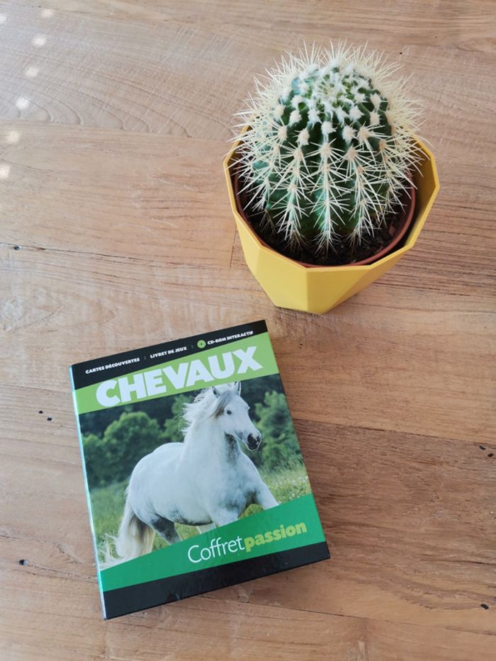 Coffret passion chevaux