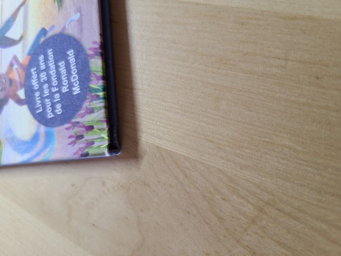 A vos pinceaux aldebert - photo numéro 4