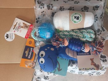 Lot 5 jouets pour chiens neuf