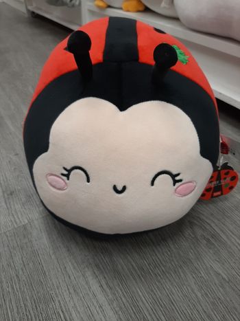 Coussin legami coccinelle