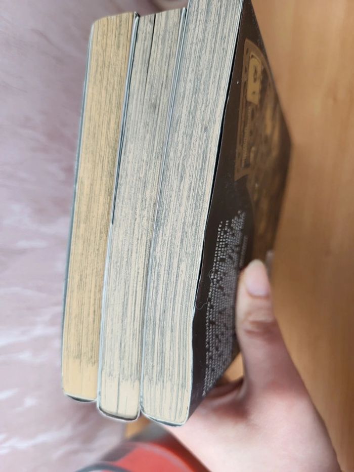 [MANGA] Majyo Rin Witch dating- Intégral - photo numéro 4