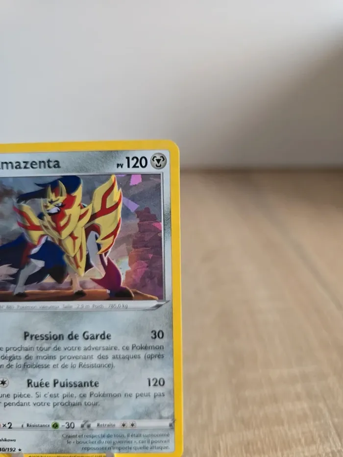 Zamazenta 140/192 - photo numéro 3