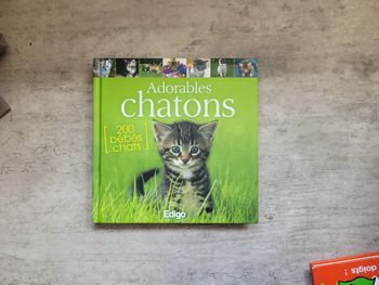 Livre adorables chatons