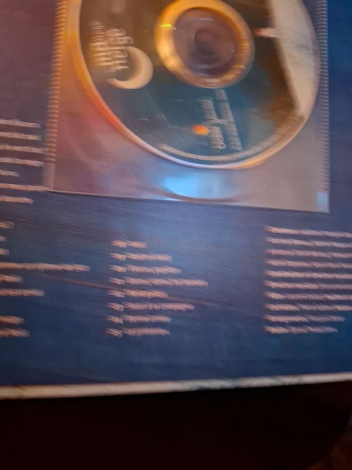 Le manège de la neige - photo numéro 5