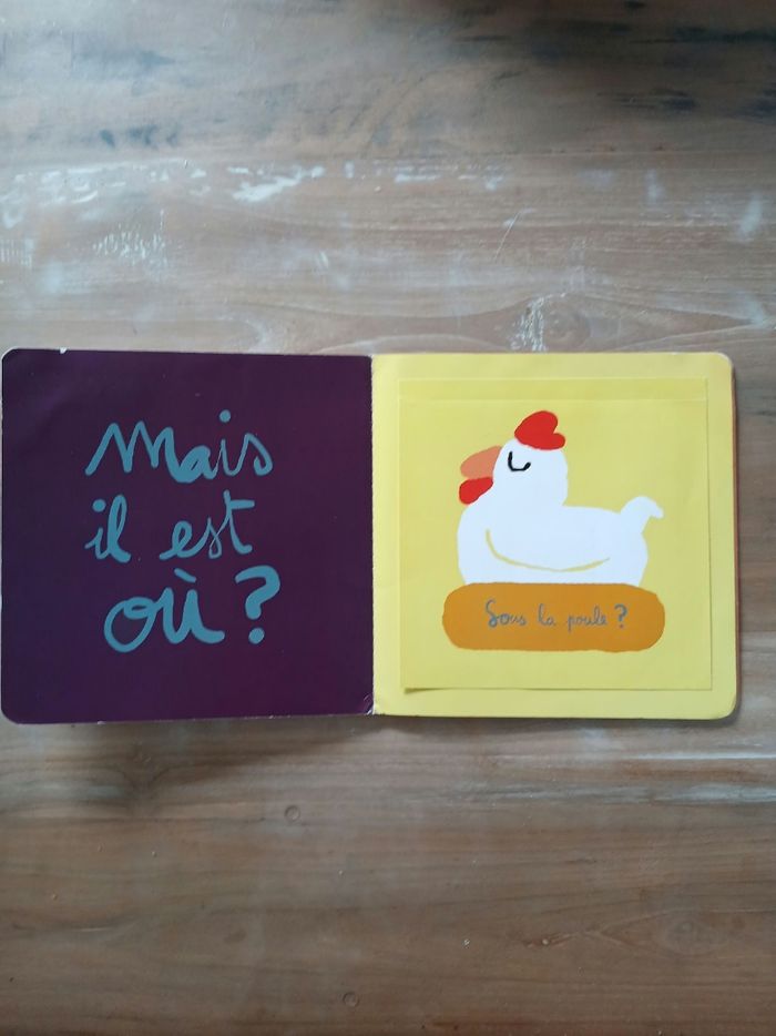 Livre a rabat_Mais il est où ? - photo numéro 2
