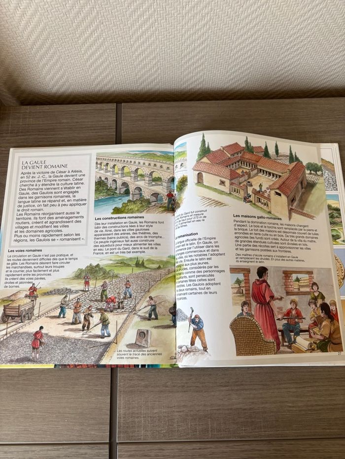 Livre les gaulois - photo numéro 3