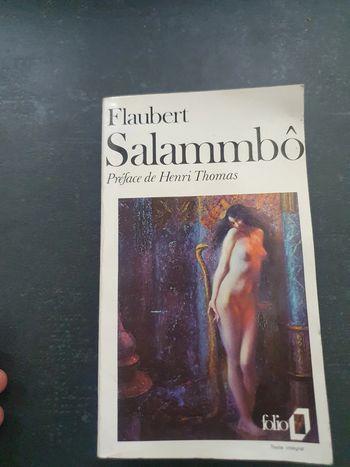 Flaubert salammbo