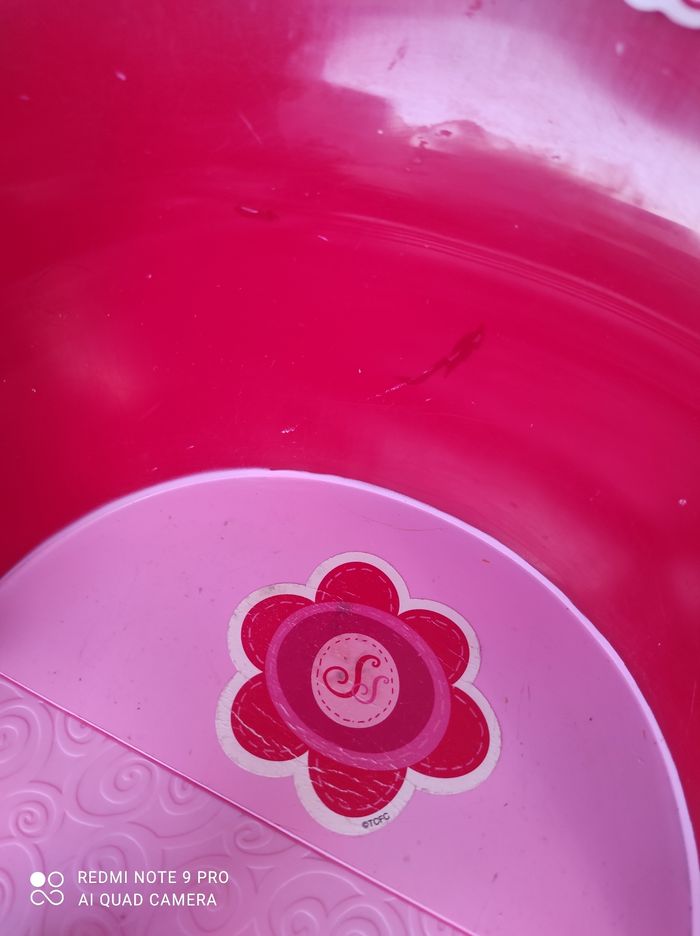 Lot Charlotte aux fraises - photo numéro 6