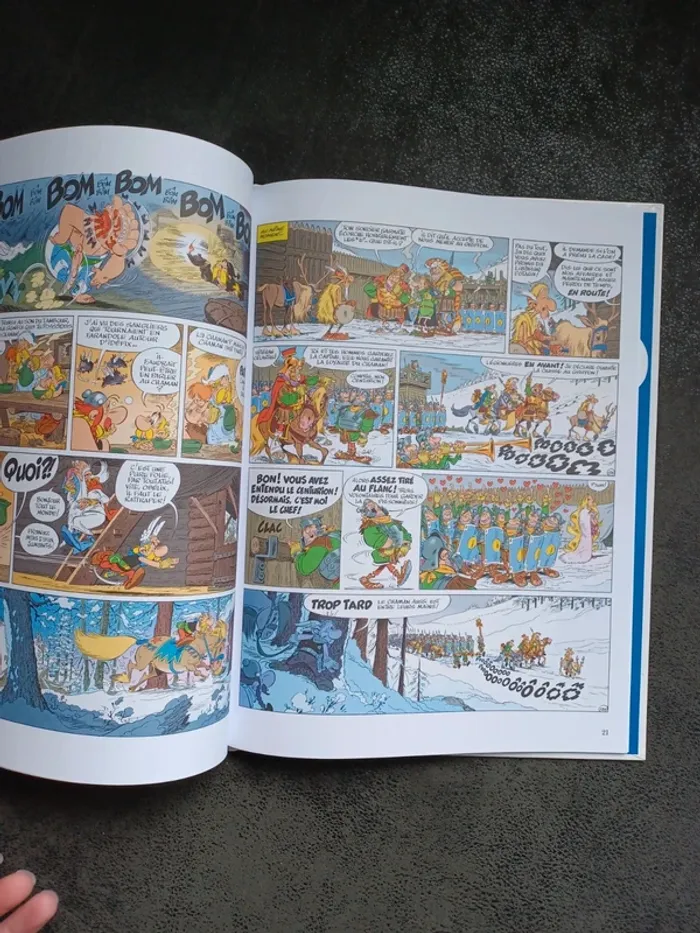 BD Astérix tome 39 Astérix et le griffon - photo numéro 6