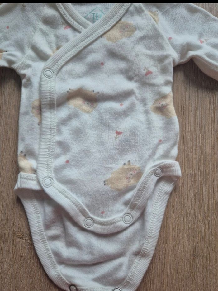 Lot de bodies - photo numéro 5