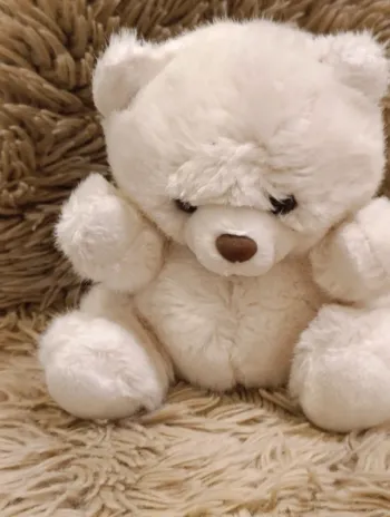 Oudon nounours