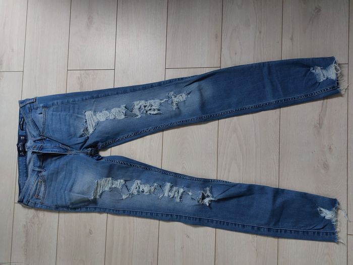 Jean Hollister bleu