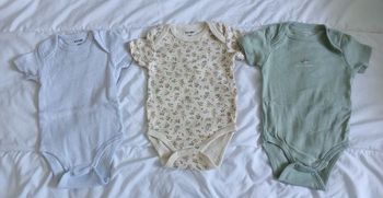 Lot bodies MC garçon 6 mois 
