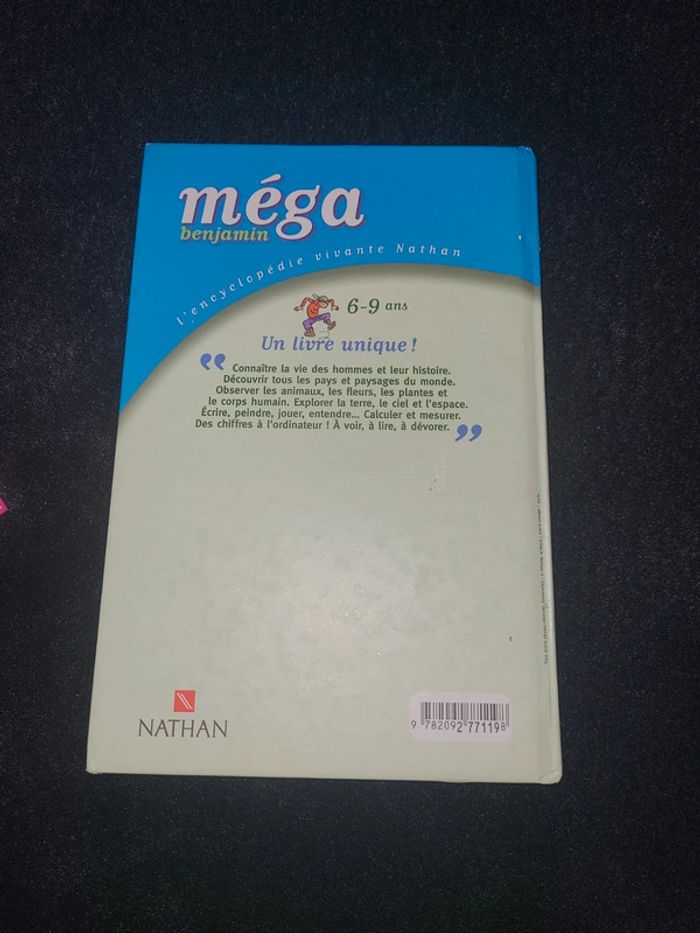 Méga Benjamin - photo numéro 5