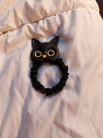 Élastique cheveux chat