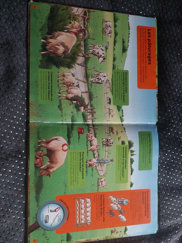 Questions réponses,  la ferme - photo numéro 3