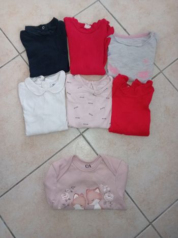 6 manches longues 18 mois + 1 body offert