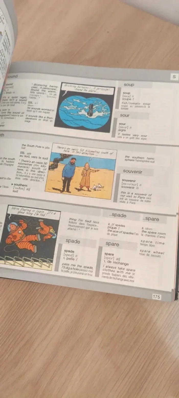 Livre tintin au pays des mots - photo numéro 5