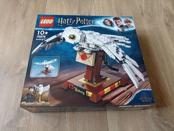 LEGO 🧱 Harry Potter 75979 Hedwige NEUF