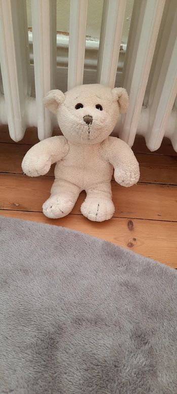Petit ours blanc