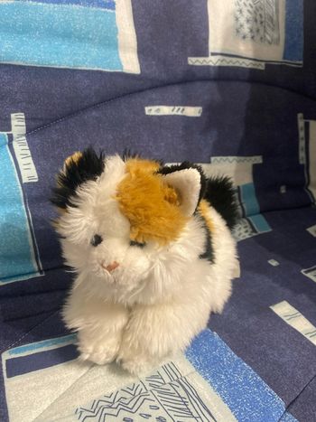 Chat en peluche