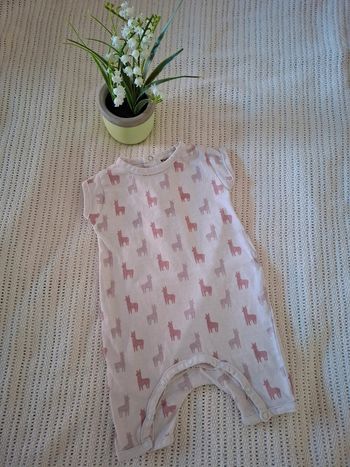 Bodie Manches Courtes Short 3 Mois