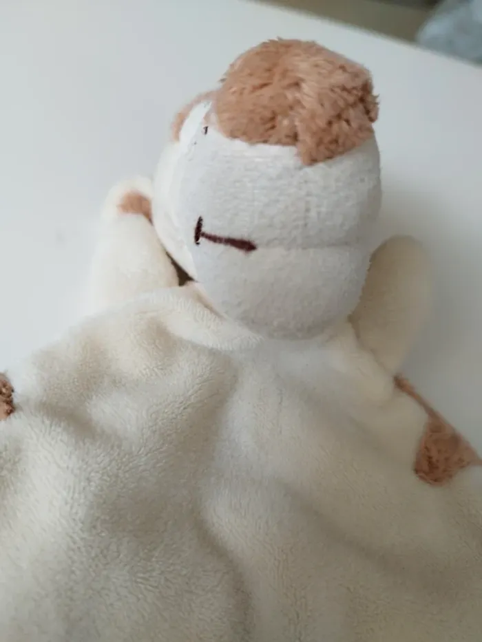 Tigrou beige - photo numéro 3