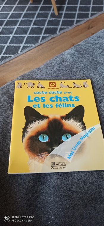 Livre cache cache avec les chats et les felins