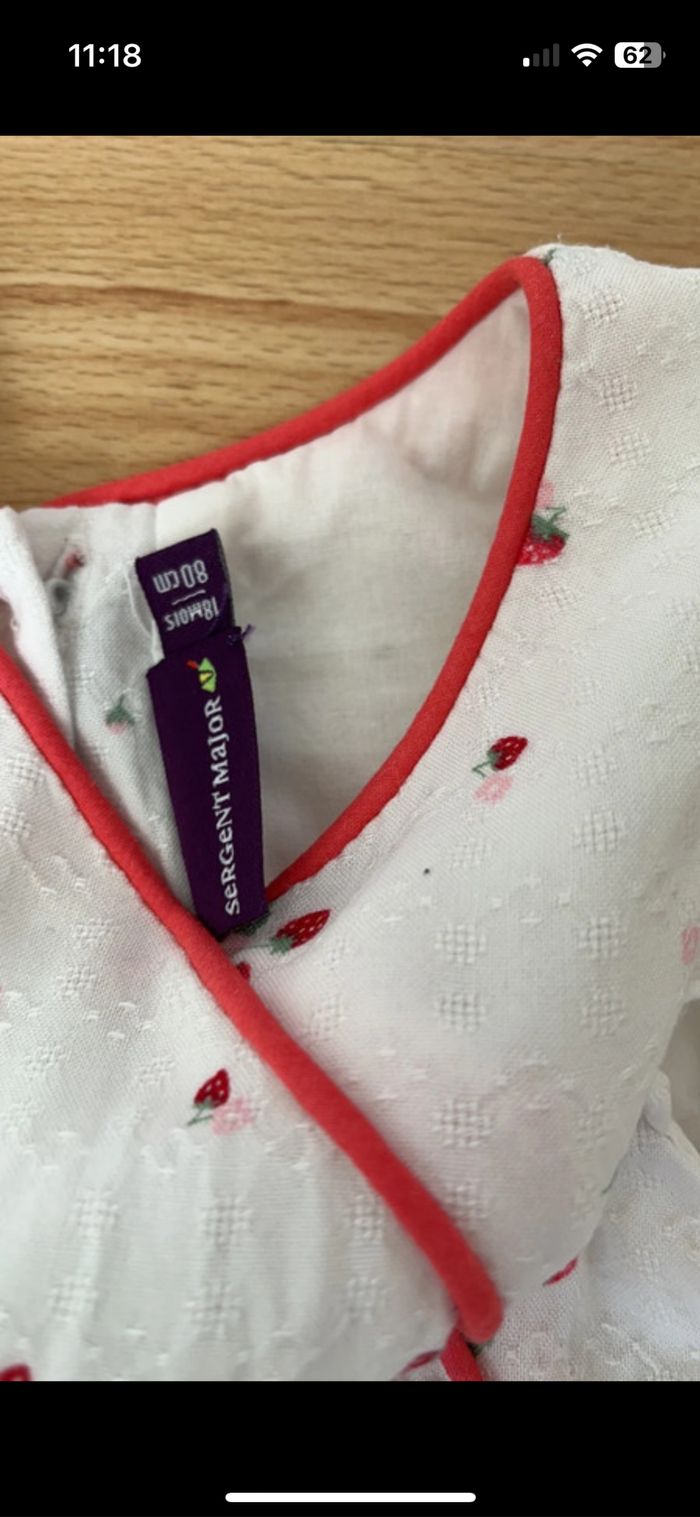 Barboteuse sergent major - photo numéro 2