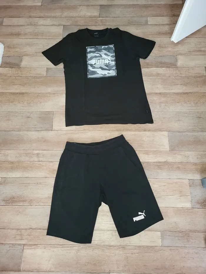 Ensemble puma