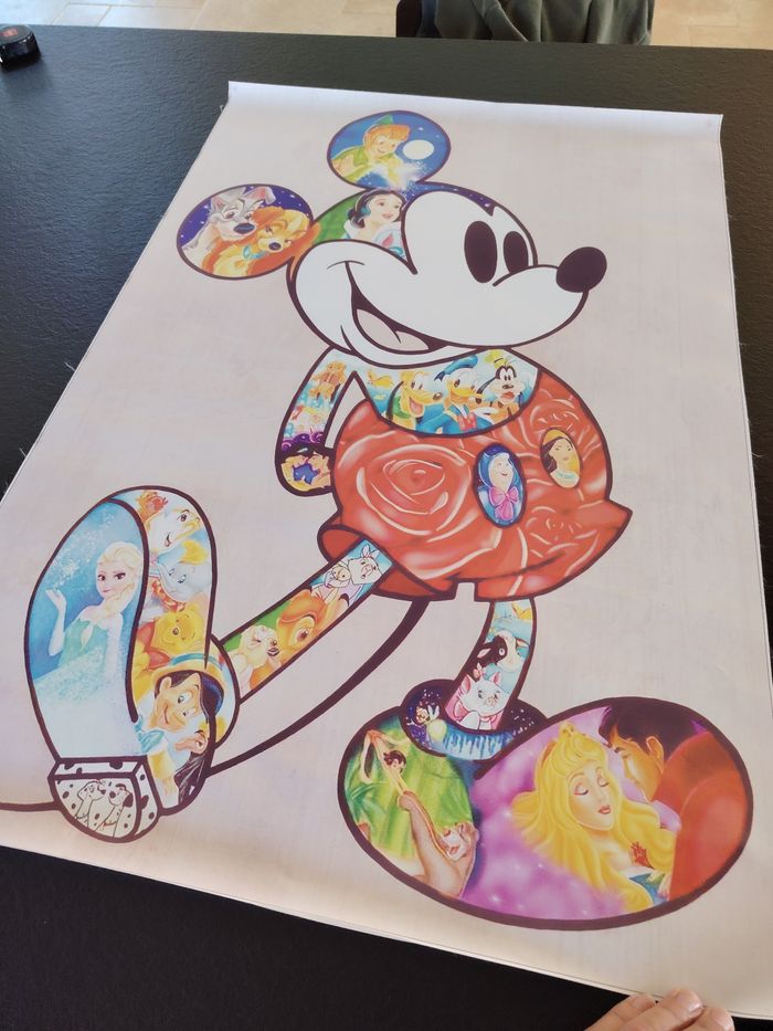 Toile tisser Disney