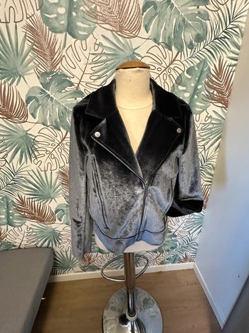 Veste perfecto Camaïeu gris velours tL