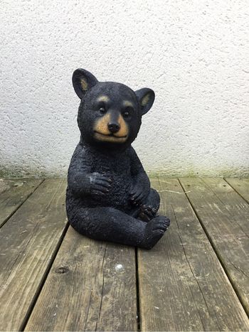 Statut ours
