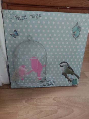 Cadre oiseau en cage 40x40 neuf