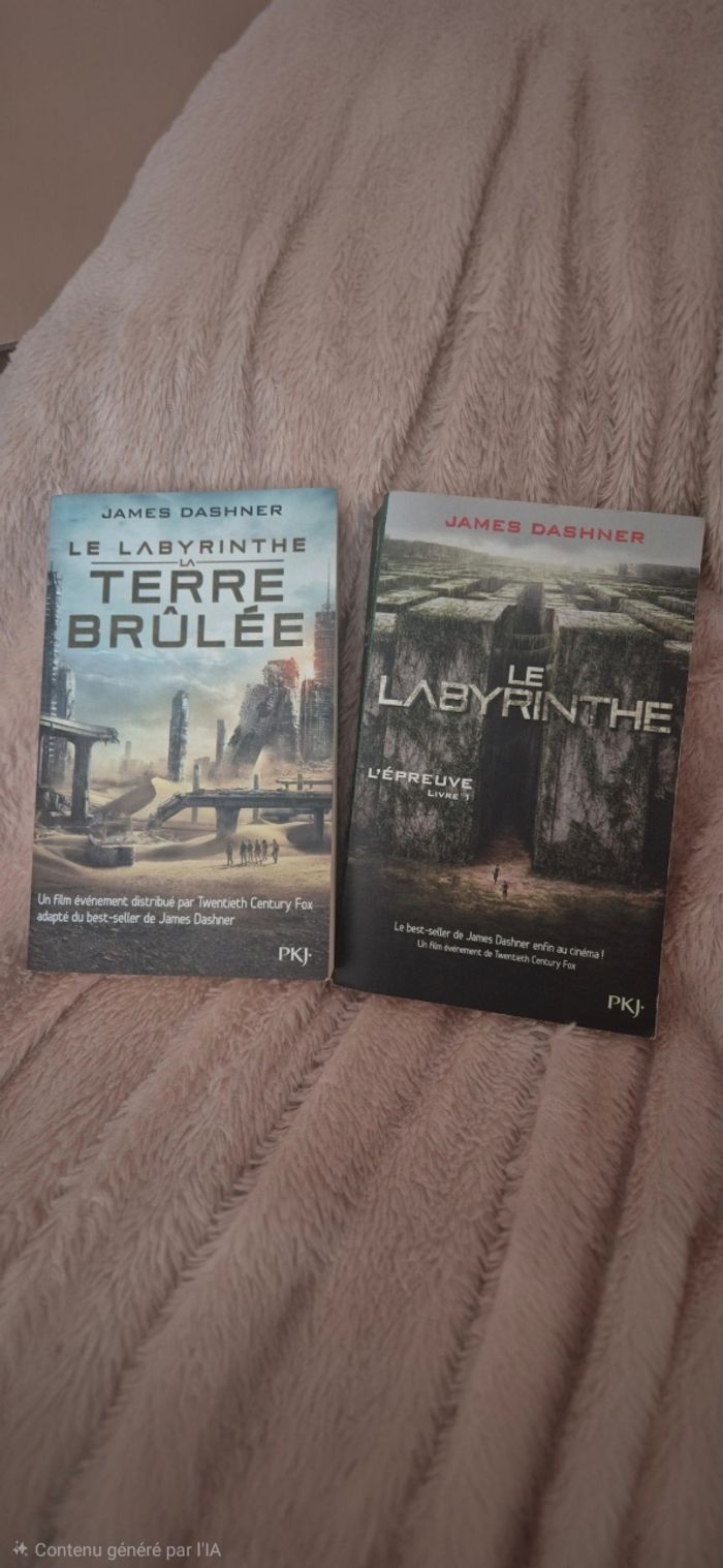 📚 Lot 2 livres – Le Labyrinthe (James Dashner)