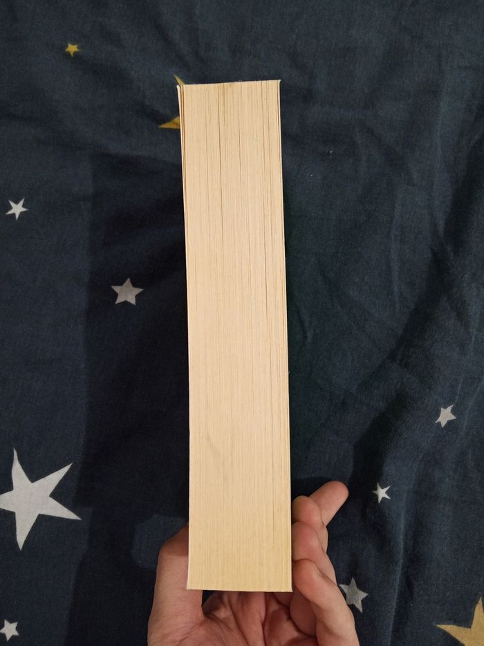 Livre (53) 📚 Un vrai genie - photo numéro 4