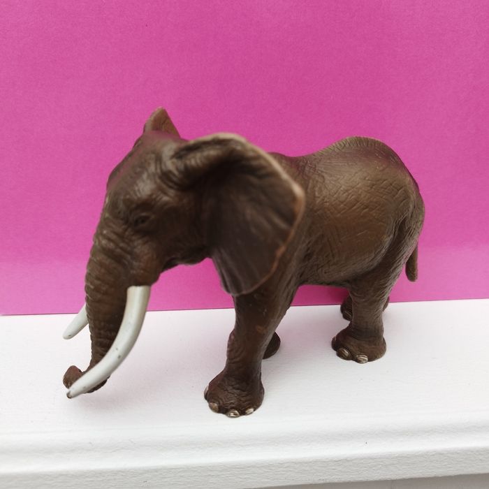 Éléphant d'Afrique mâle