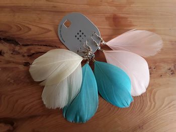 Boucles d'oreilles plume