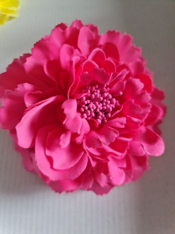 Les bijoux de bounika occasion