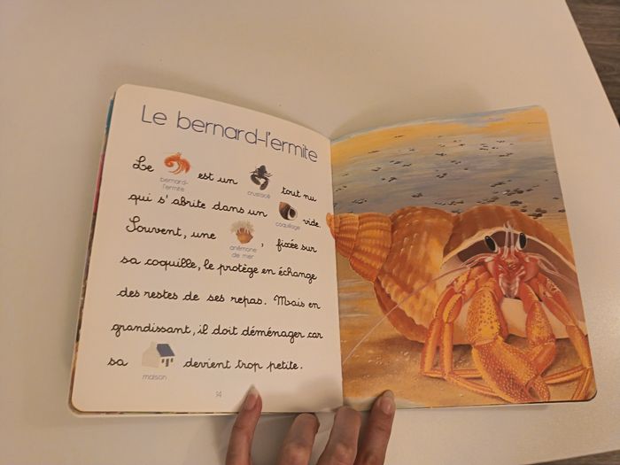 Livre " Les animaux de la mer" - photo numéro 2