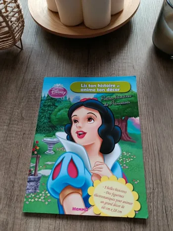 Livre "Disney Princesses"