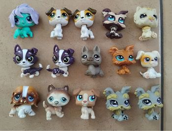 Lot chiens Petshop