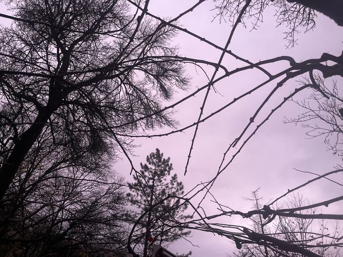 Super bottines - photo numéro 3