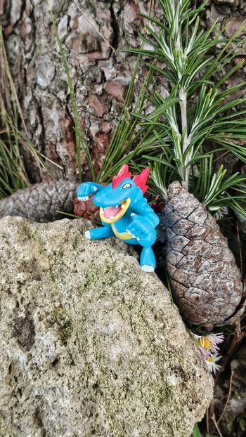 Super figurine Pokemon nintendo Aligatueur 